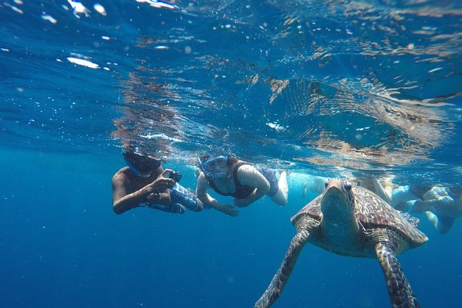 Snorkeling Tour In Gili Trawangan, Gili Meno And Gili Air Pick Up From Bali - Gili Air and the Fish Spot