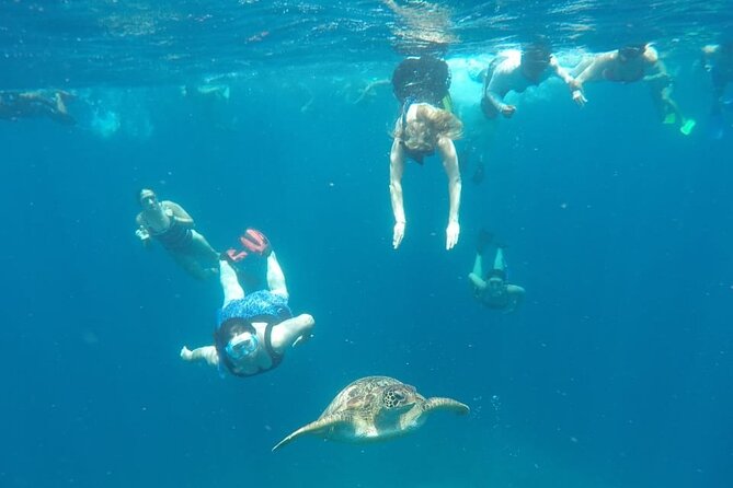 Snorkeling Tour In Gili Trawangan, Gili Meno And Gili Air Pick Up From Bali - Friendly guides and the included GoPro
