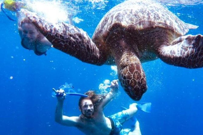 Snorkeling Tour In Gili Trawangan, Gili Meno And Gili Air Pick Up From Bali - The 6:30 am pickup from Bali