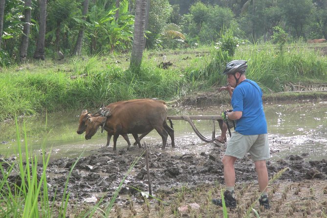 Snorkeling & Trekking at West Bali National Park - Weather, cancellation, and sensible planning