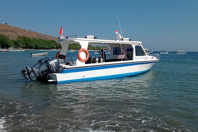 Snorkeling Trip to Menjangan Island - Lunch, drinks, and the conservation angle