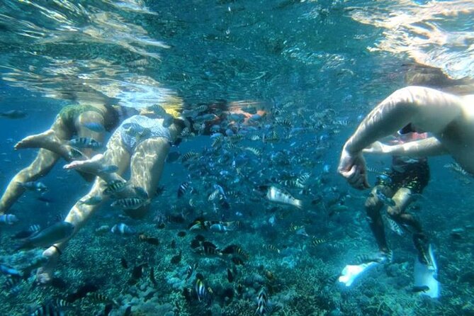 Snorkeling Trips with Manta Ray from Nusa Lembongan - Photos, showers, and the small comforts