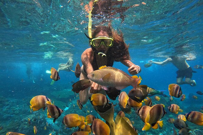 Snorkeling with Manta Rays in Their Habitat with Manta Point - GoPro photos and videos after the tour