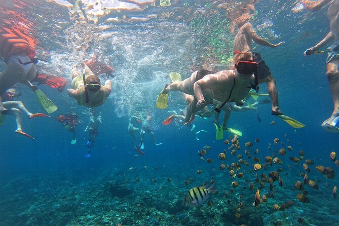 Snorkeling with Manta Rays in Their Habitat with Manta Point - Weather, waves, and comfort in the water