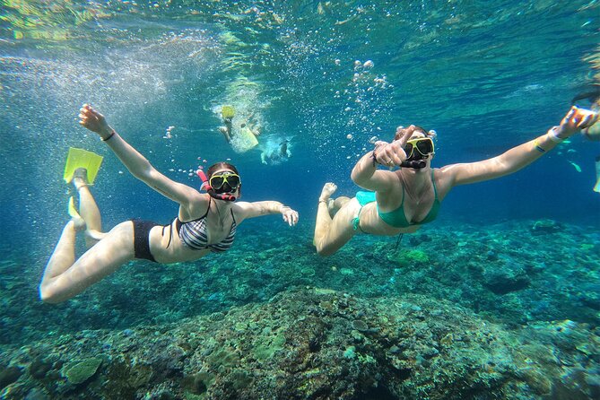 Snorkeling with Manta Rays in Their Habitat with Manta Point - Who will get the most from this trip