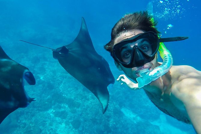 Snorkelling in Nusa Penida - Manta Point - Why this Nusa Penida snorkel trip costs $150