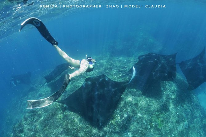Snorkelling in Nusa Penida - Manta Point - Northern Nusa Penida and the moving water