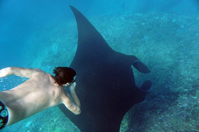 Snorkelling with Manta Rays at Nusa Penida and Lembongan - Lunch, equipment, and the value of the package