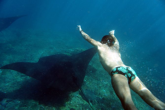 Snorkelling with Manta Rays at Nusa Penida and Lembongan - Who will enjoy this experience most