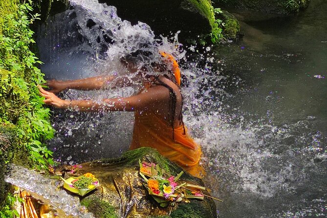 Spiritual Cleansing Ritual and Shamanic Healing in Bali - Tegallalang Rice Terrace for the final view