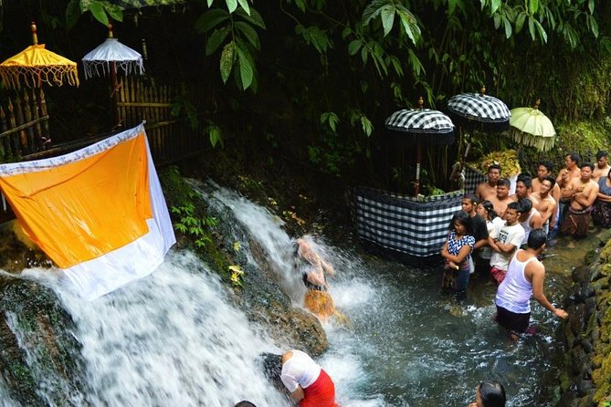 Spiritual Purification and Local Healer Visit Tour (ALL INCLUDED) - Why this Ubud tour feels different
