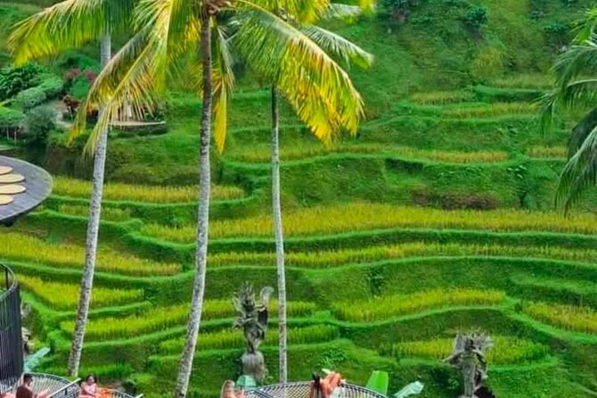 Sunset Sailboat Dinner Cruise & Private Ubud highlights Tour. - Tegallalang gives you Bali’s famous rice-field view