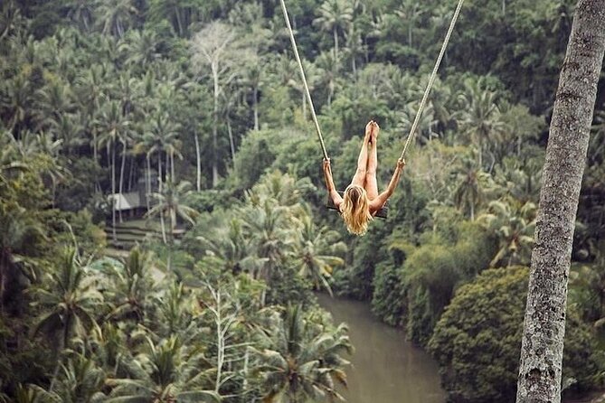 Swimming At Taman Sari Waterfall & Visit The Best Site Of Ubud - Swimming at Taman Sari Waterfall