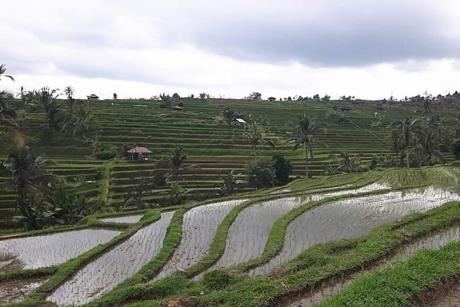 Tanah Lot and North Bali Private Tour - All inclusive - Leke Leke Waterfall and a Short Nature Break