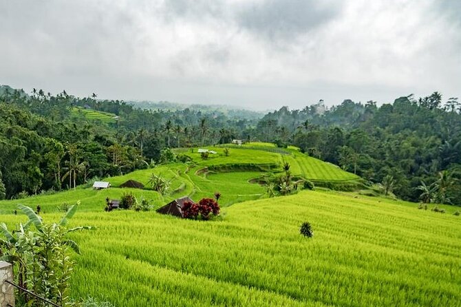 Tanah Lot and North Bali Tour: Scenic Journey - Pura Batu Bolong and Tanah Lot at the coast