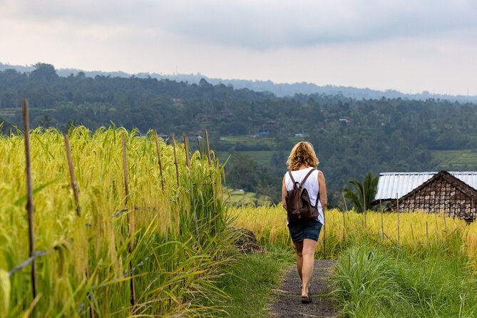 Tanah Lot, Jatiluwih Rice Terrace and Waterfall Day Tour - Banyumala Waterfall: a cool break in the mountains