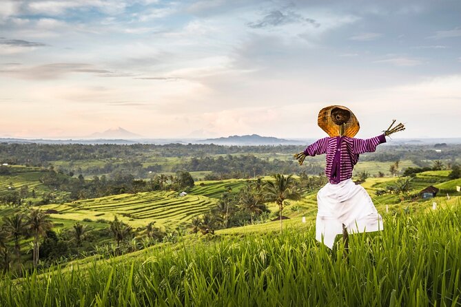 Tanah Lot, Jatiluwih Rice Terrace and Waterfall Day Tour - Ulun Danu Beratan: a calm finish by the lake
