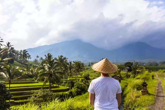Tanah Lot, Jatiluwih Rice Terrace and Waterfall Day Tour - Is $90.54 good value for up to five people?