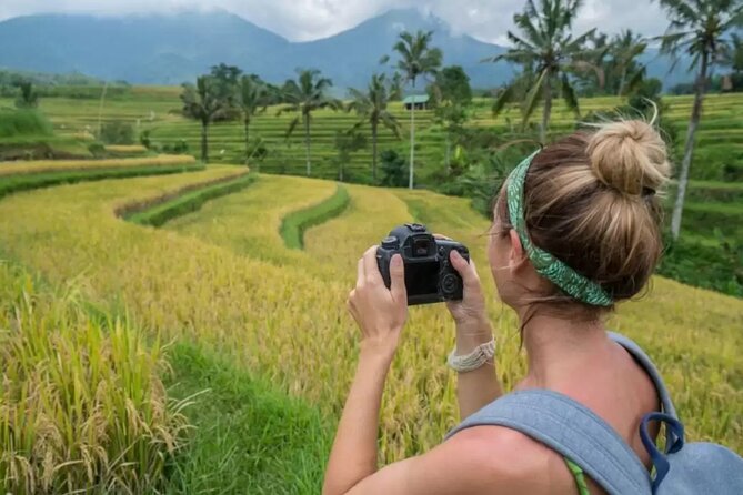 Tanah Lot, Jatiluwih Rice Terrace and Waterfall Day Tour - Who should book this day tour?