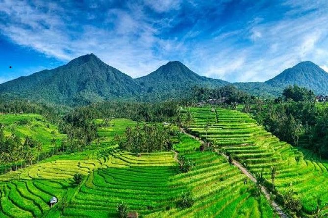 Tanah Lot - Jatiluwih (UNESCO) - Beratan lake -Hidden hill (Wanagiri)-FREE WI-FI - Private transport, Wi-Fi, and the reality of a long Bali day