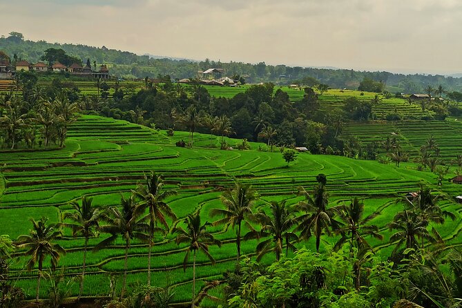 Tanah Lot Tour: Discover Bali’s Iconic Temple and Stunning Views - Yeh Ho Waterfall in the Jatiluwih area