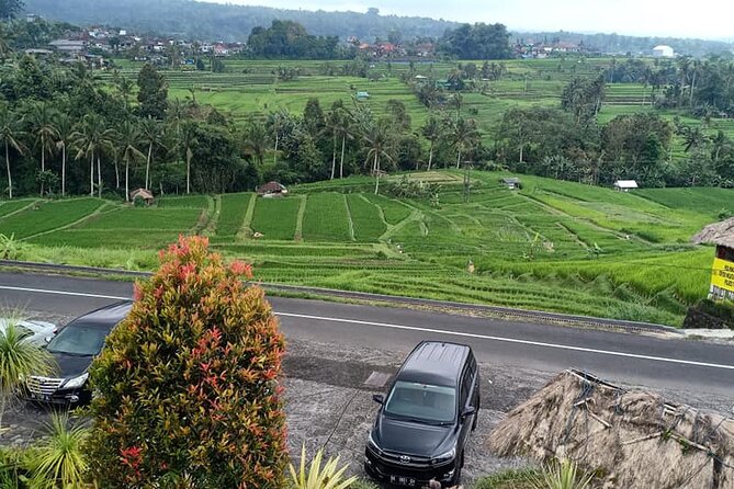 Tanah Lot Tour & North Bali Tour : All-Inclusive Best Experience - Wanagiri’s view of Buyan and Tamblingan
