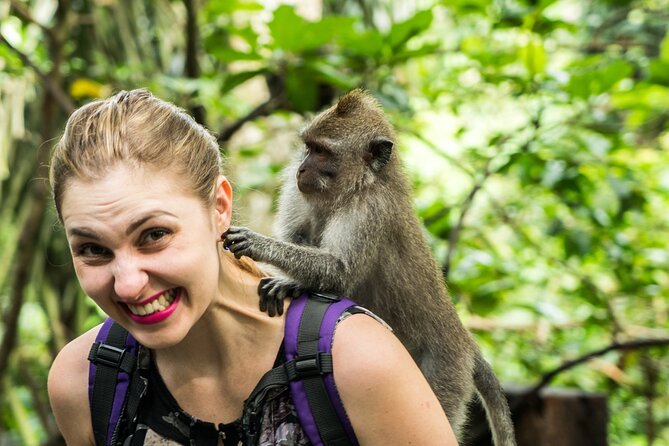 Tanah Lot Tour with Ubud Monkey Forest, Rice Terraces, and Waterfalls - Tanah Lot and the sea temple
