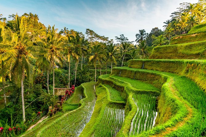 Tanah Lot Tour with Ubud Monkey Forest, Rice Terraces, and Waterfalls - Tegenungan Waterfall and the walk below