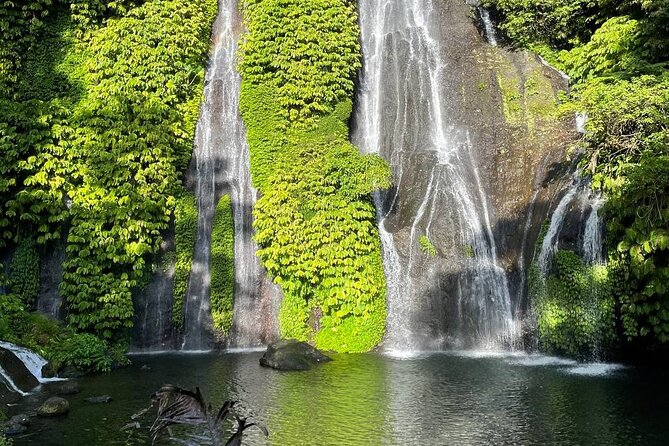 Tanah Lot - Ulun Danu Beratan Temple - Scenic Countryside Tour - Who should choose this tour