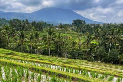 Tanah Lot – Ulun Danu Beratan Temple – Scenic Countryside Tour