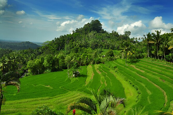 Telaga Waja White Water Rafting and Besakih Temple Tour - Bukit Jambul rice terraces and valley views