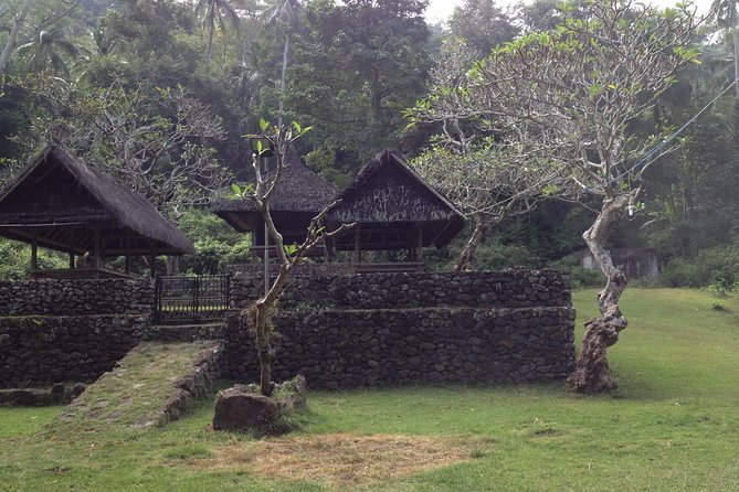 Tenganan Village Rice Field Trekking Tour - Starting at Kastala and entering the rice terraces