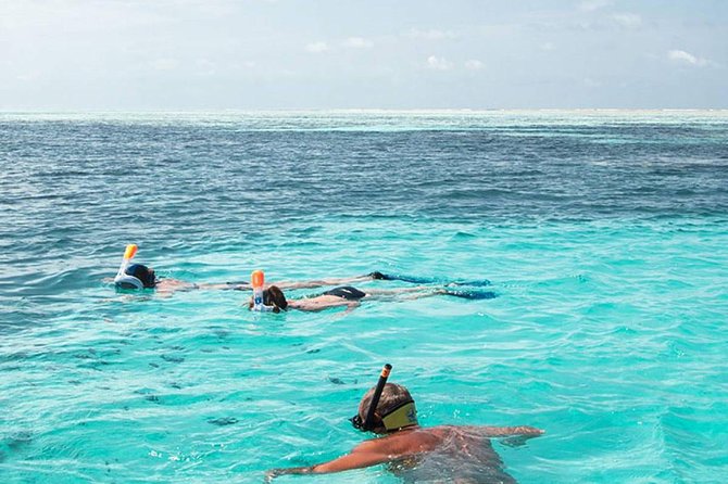 The Best 2-point Snorkeling in Padangbai: Blue lagoon and Tanjung jepun - Key points to know before you book