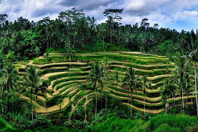 The Popular Of Ubud Private Day Tour - Seeing the purification pools at Tirta Empul