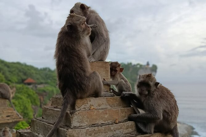 The Uluwatu Tour - Reaching Uluwatu Temple before sunset