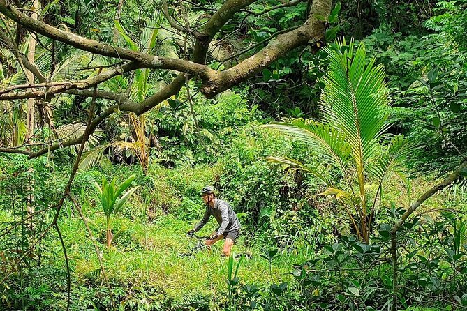 The Volcano Trail – Epic Volcano Cycling Adventure - Group size and the value of the guide