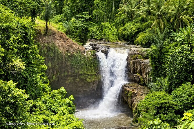Three Main spot Bali Waterfall with Swing - The guide can make the long drives worthwhile