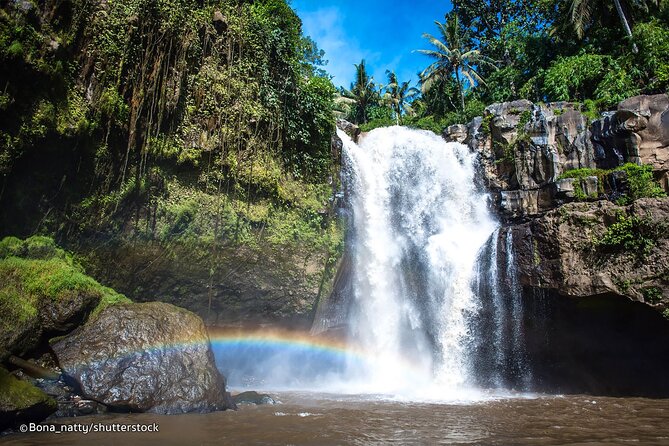 Three Main spot Bali Waterfall with Swing - Who will get the most from this tour?