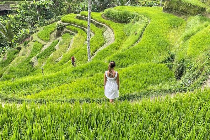 Tirta Empul temple, Jungle Swing and Waterfalls - Private Tour - Why this Ubud day works well