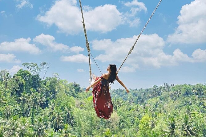 Tirta Empul temple, Jungle Swing and Waterfalls - Private Tour - Tirta Empul: the day’s most meaningful stop