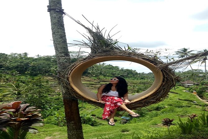 Tlaga Singha Infinity Pool, Jungle swing & Rice Terrace Trip - Why the private format matters