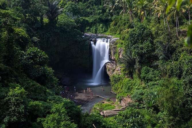 Top Ubud Attractions: Private Full-Day Guided Tour - Ubud Art Market and Souvenir Time
