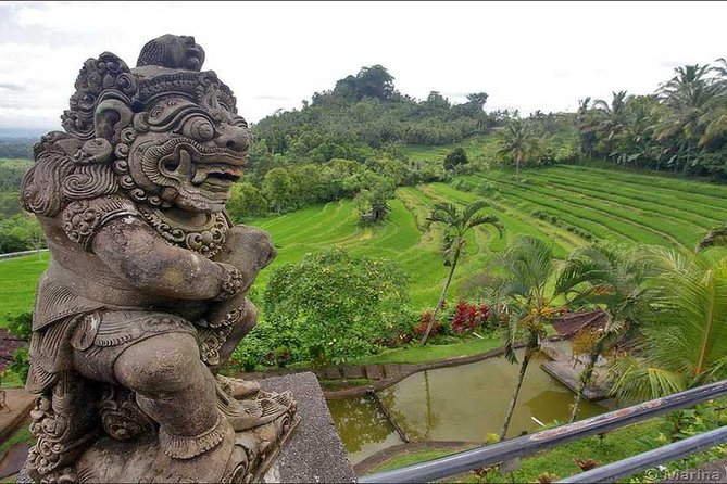 Tour: Besakih Temple-Kintamani Volcano-Water temple&Rice Terrace - Bukit Jambul and Bali Garden Edelweis