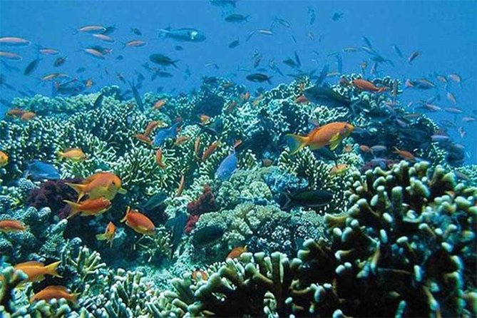 Tour Gate of Heaven at Lempuyang Temple - Blue Lagoon Snorkeling with lunch - Who Should Book This Experience?