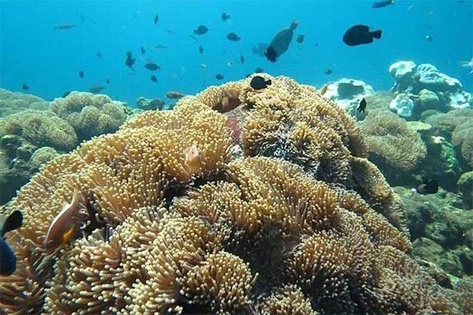 Tour Gate of Heaven at Lempuyang Temple - Blue Lagoon Snorkeling with lunch - Should You Book the Lempuyang and Blue Lagoon Tour?