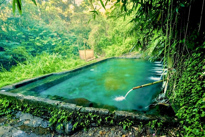 Trekking and Sightseeing tour with lunch - Balinese lunch above the rice fields