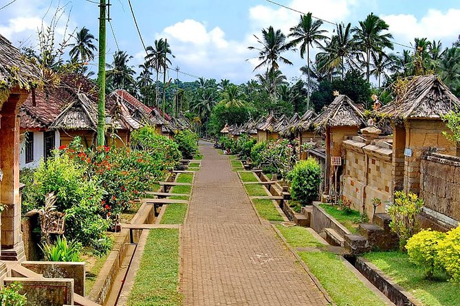 Trunyan Cemetery, Hot Spring, Penglipuran Village, and Waterfall Tour - Who should book this Trunyan and Ubud tour?