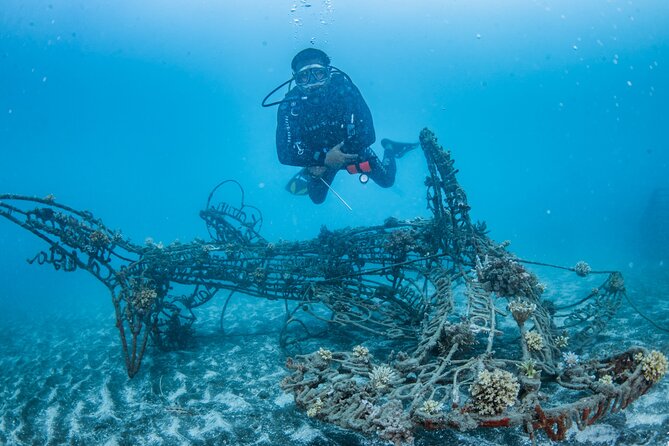 Try Dive Program in the Biorock Pemuteran - Key Details Before You Book