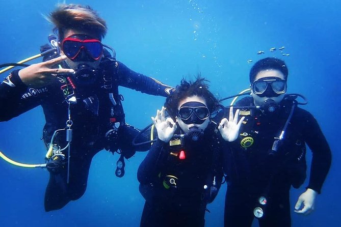 Try Diving in Manta Point - Nusa Penida - Why Manta Point is such a big draw