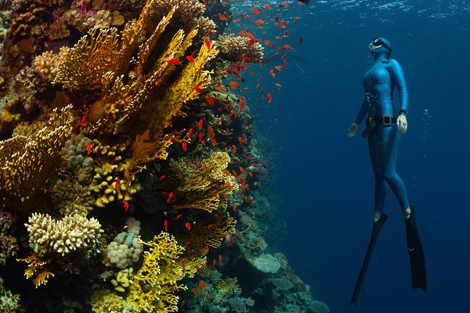 Try Freediving on Nusa Penida - Underwater photos and what is included